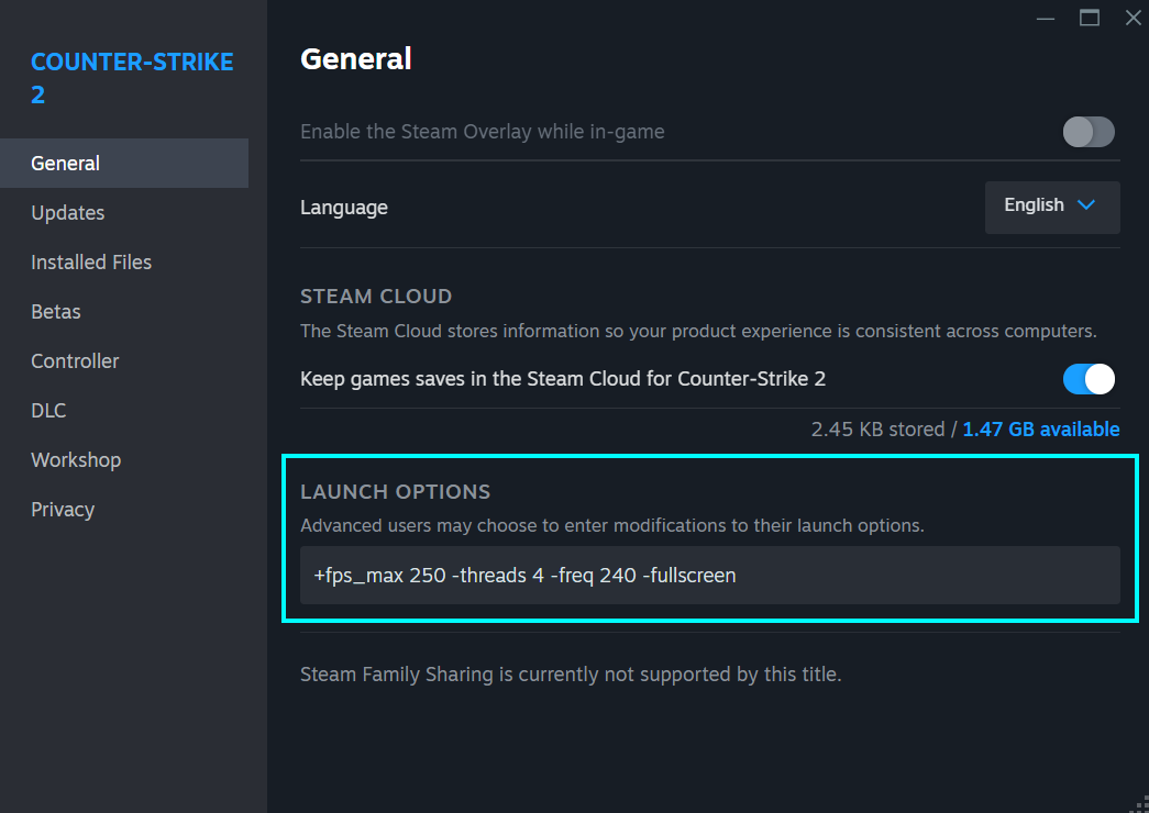 CS2 launch options - how to use