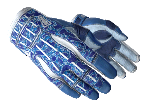 Sport Gloves | Amphibious CS2 skin
