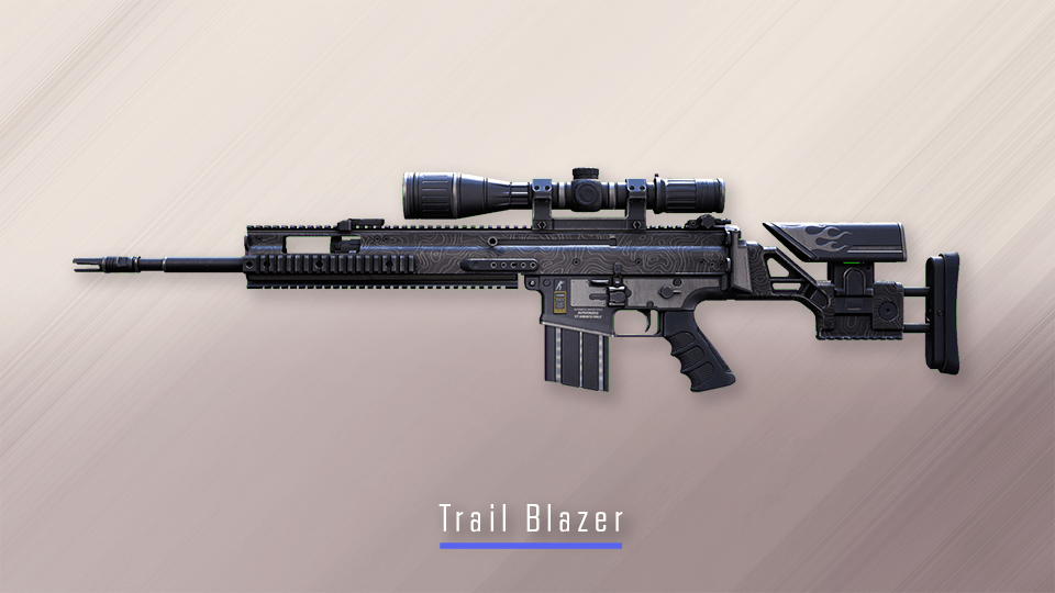 Trail Blazer CS2 skin