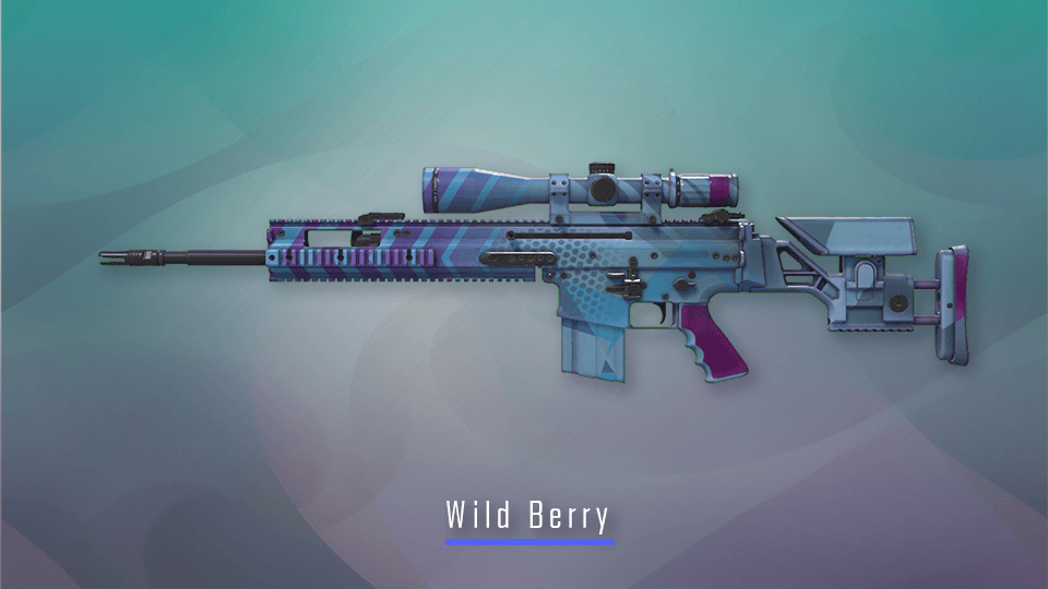 CS2 Graphic Collection – Wild Berry CS2 skin
