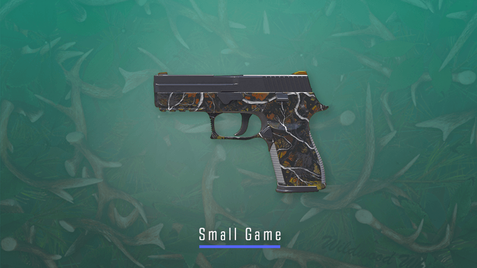 CS2 Sport and Field Collection – Small Game CS2 skin