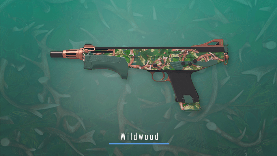 CS2 Sport and Field Collection – Wildwood CS2 skin