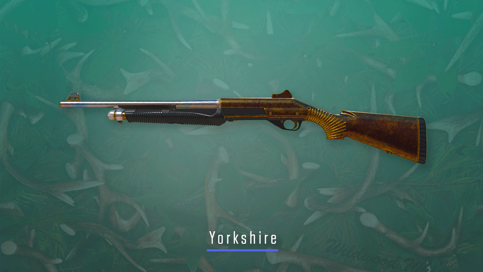 CS2 Sport and Field Collection – Yorkshire CS2 skin
