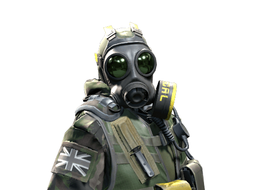 B Squadron Officer - SAS CS2 agent skin