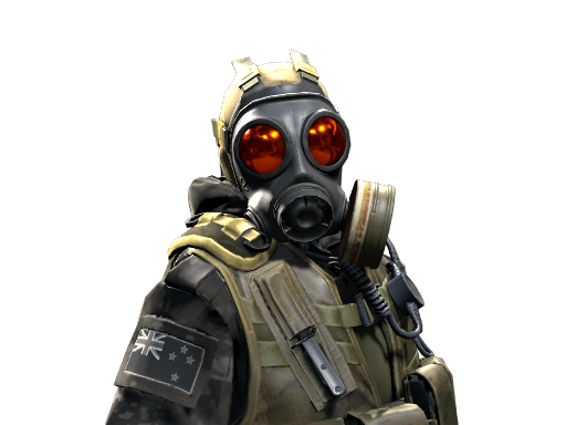 D Squadron Officer - NZSAS CS2 agent skin