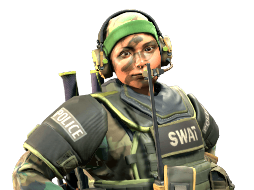 Lieutenant 'Tree Hugger' Farlow - SWAT CS2 agent skin