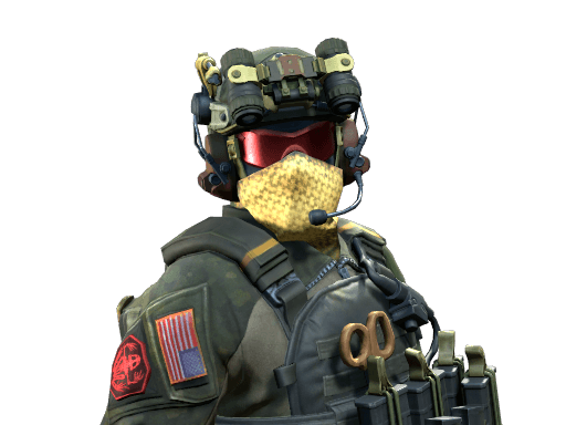 Seal Team 6 Soldier - NSWC SEAL CS2 agent skin