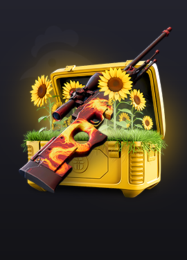 Sunshine Case Key-Drop